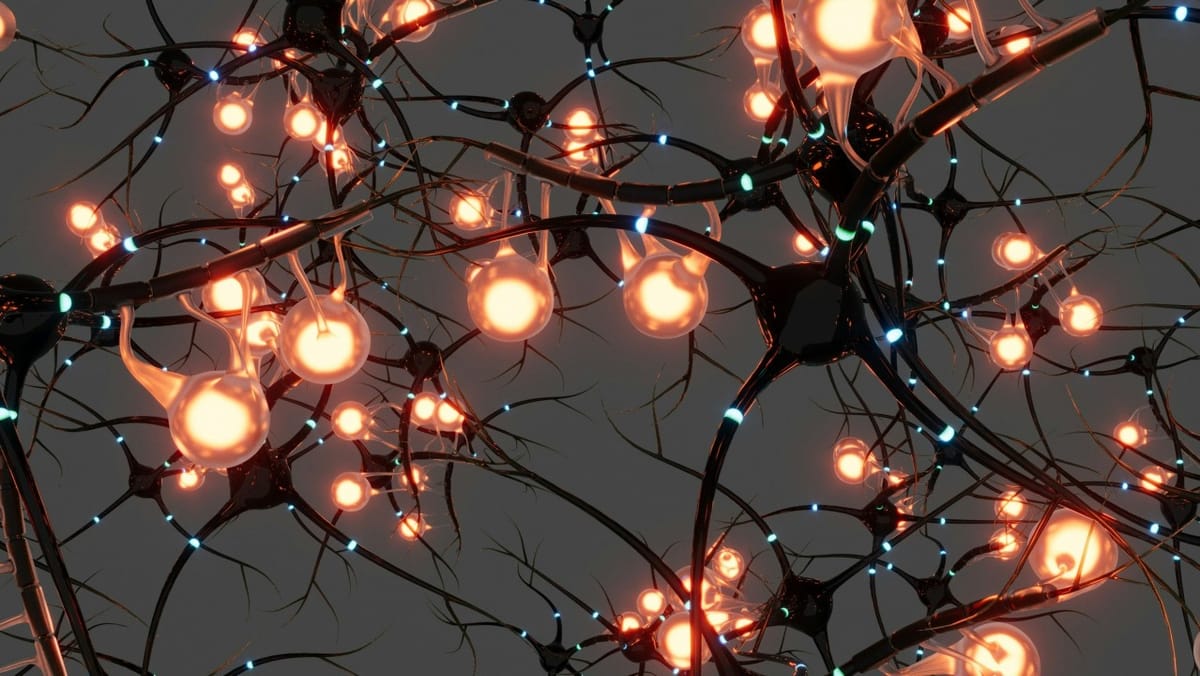 High- and Low-Cortisol Organizations